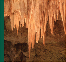 Paleoenvironments