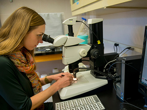 Student at microscope