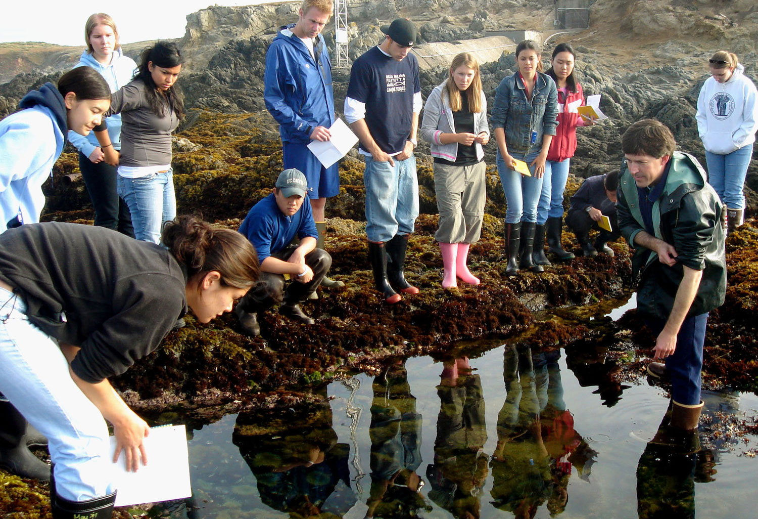 Tidepool photo