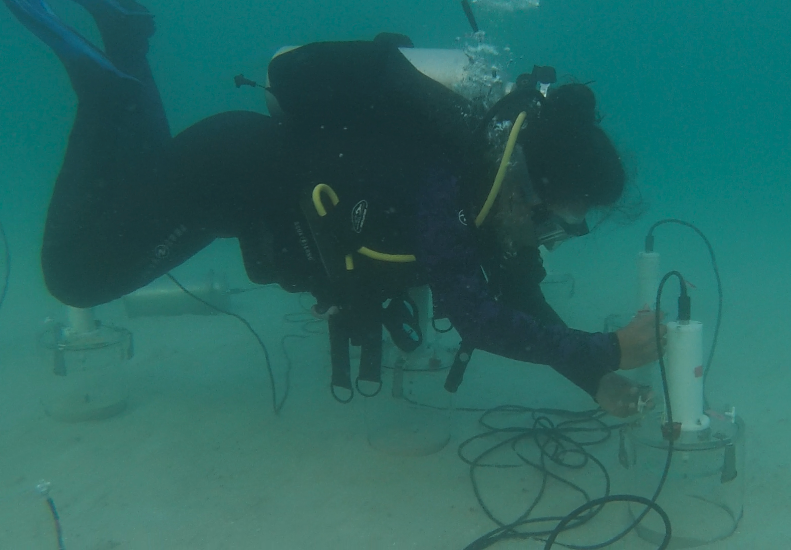 Alyssa under water
