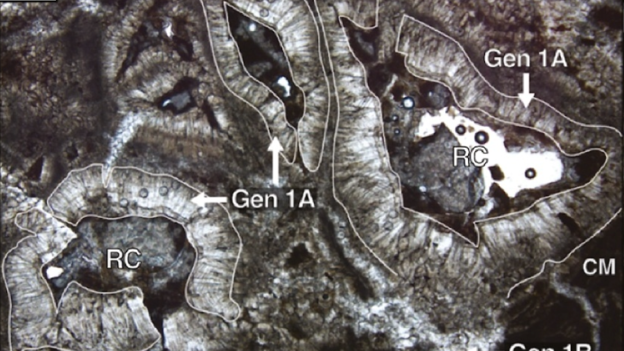 Calcite cements development in a carbonate nodule from a palustrine deposit.