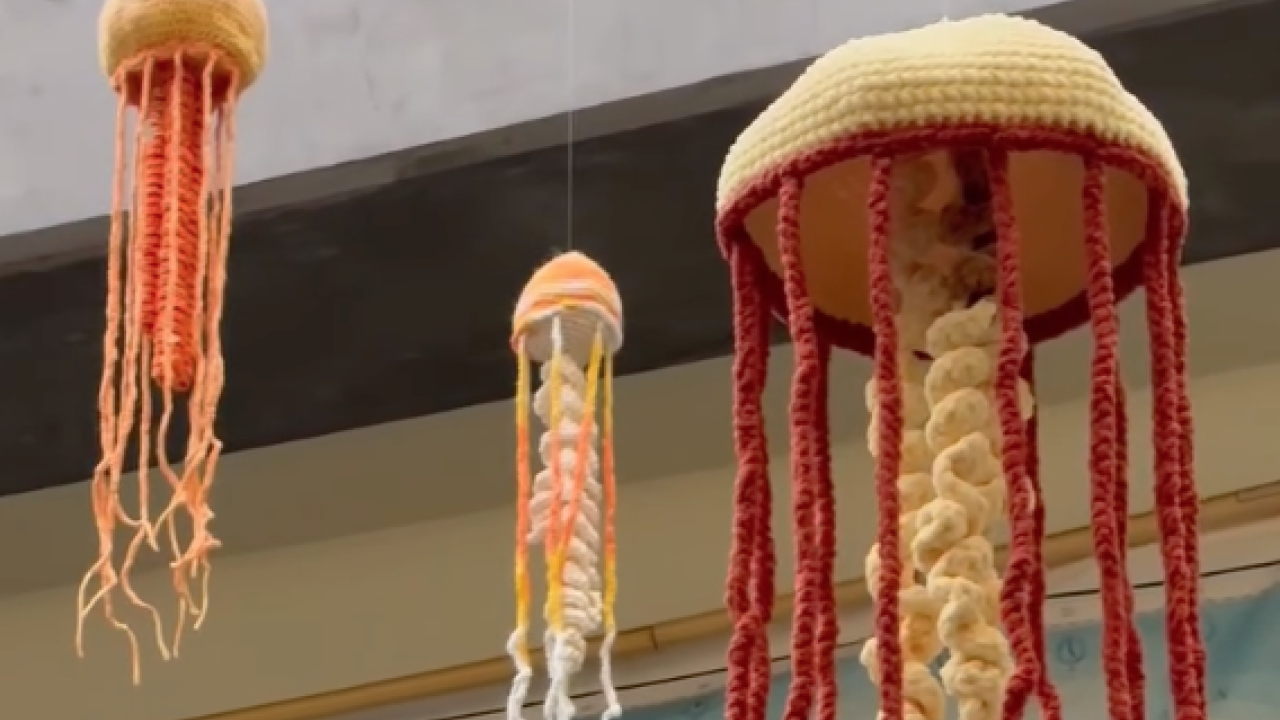 Colorful crocheted jellyfish hanging from the ceiling in a bright setting.