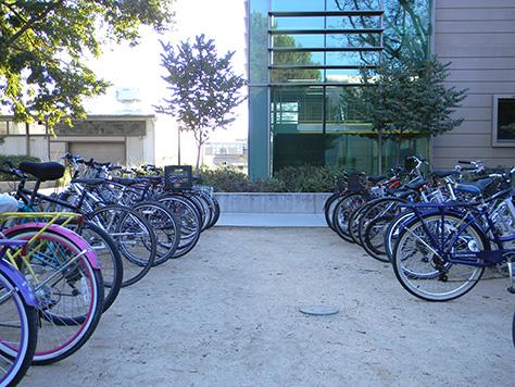Bicycles parked in front of the Earth and Physical Sciences Building.